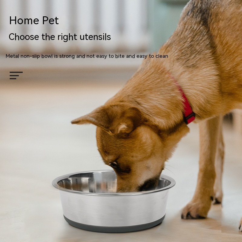  Remote pet feeder hotel bowl 